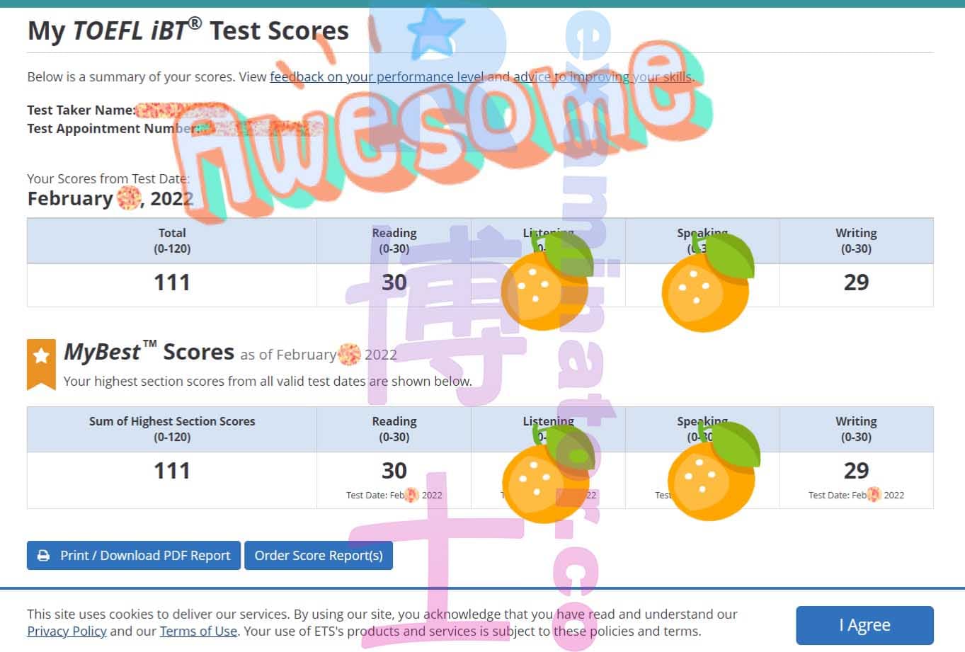 score image for Tricherie au TOEFL success story #273